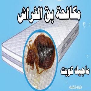 مكافحة حشرات - مكافحة حشرات وقوارض - الاتصال 91111288 - شركة حشرات - شركة مكافحة حشرات - مكافحة بق - مكافحة قوارض - مكافحة حشرات الكويت 14 مكافحة بق مكافحة حشرات - مكافحة حشرات وقوارض - الاتصال 91111288 - شركة حشرات - شركة مكافحة حشرات - مكافحة بق - مكافحة قوارض - مكافحة حشرات الكويت