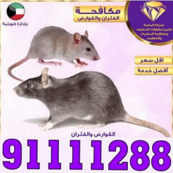 مكافحة حشرات - الاتصال 91111288 - شركة مكافحة حشرات رخيصة - افضل شركة مكافحة حشرات - مكافحة حشرات الجهراء - مكافحة الحشرات والقوارض