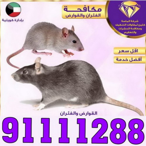 مكافحة حشرات - الاتصال 91111288 - شركة مكافحة حشرات رخيصة - افضل شركة مكافحة حشرات - مكافحة حشرات الجهراء - مكافحة الحشرات والقوارض 1 مكافحة حشرات - الاتصال 91111288 - شركة مكافحة حشرات رخيصة - افضل شركة مكافحة حشرات - مكافحة حشرات الجهراء - مكافحة الحشرات والقوارض